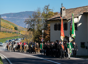 Bild kann nicht geladen werden